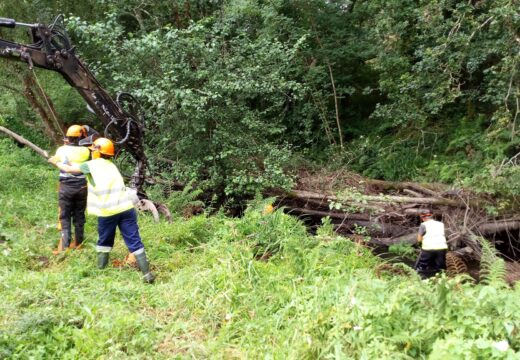 A Xunta realiza labores de conservación e mantemento no río Mero, ao seu paso polos concellos de Abegondo e Oza-Cesuras